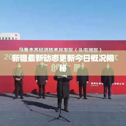 新疆最新动态更新今日概况揭秘