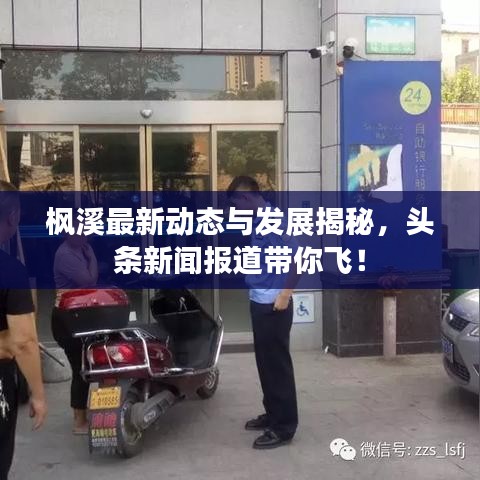 枫溪最新动态与发展揭秘，头条新闻报道带你飞！
