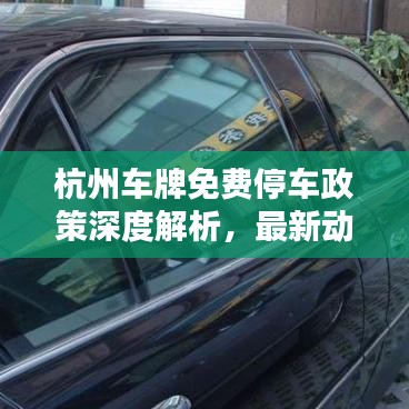 杭州车牌免费停车政策深度解析，最新动态与优惠细节一网打尽