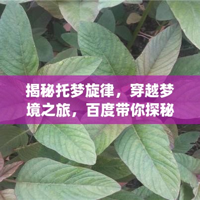 揭秘托梦旋律，穿越梦境之旅，百度带你探秘音乐奇幻世界