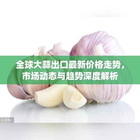 全球大蒜出口最新价格走势，市场动态与趋势深度解析