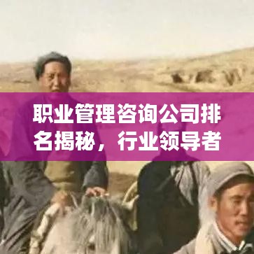 职业管理咨询公司排名揭秘，行业领导者与先锋力量的深度洞察