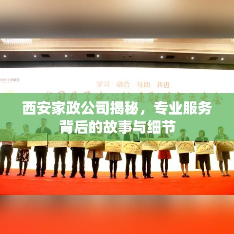 西安家政公司揭秘，专业服务背后的故事与细节