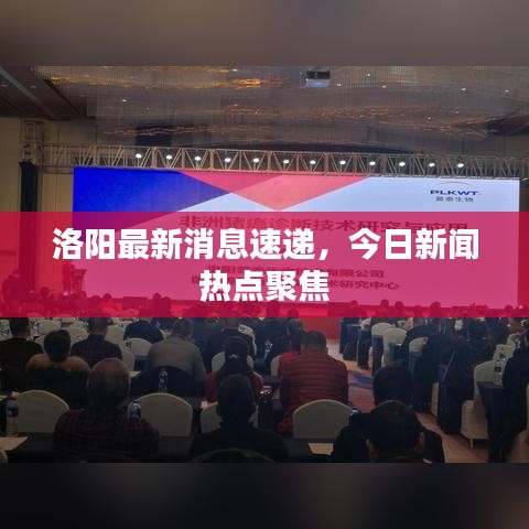 洛阳最新消息速递，今日新闻热点聚焦