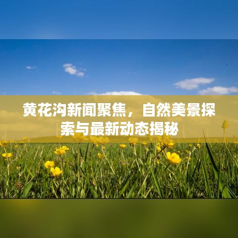 黄花沟新闻聚焦，自然美景探索与最新动态揭秘