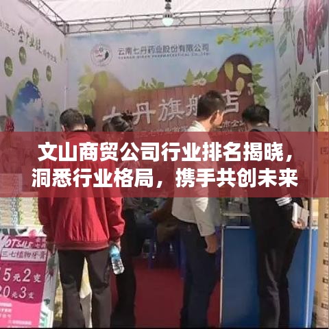 文山商贸公司行业排名揭晓，洞悉行业格局，携手共创未来商机