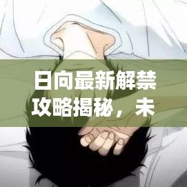 日向最新解禁攻略揭秘，未知世界的神秘探索之旅