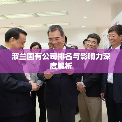 波兰国有公司排名与影响力深度解析