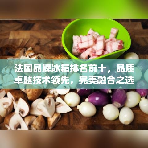 法国品牌冰箱排名前十，品质卓越技术领先，完美融合之选！