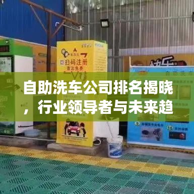 自助洗车公司排名揭晓，行业领导者与未来趋势展望