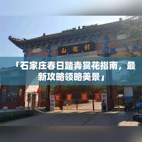 「石家庄春日踏青赏花指南，最新攻略领略美景」