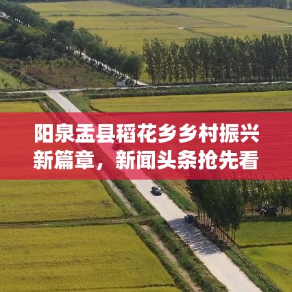 阳泉盂县稻花乡乡村振兴新篇章，新闻头条抢先看
