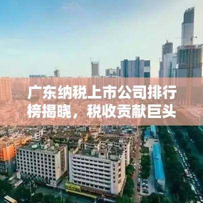 广东纳税上市公司排行榜揭晓，税收贡献巨头大揭秘！
