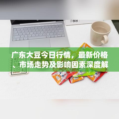 广东大豆今日行情，最新价格、市场走势及影响因素深度解析