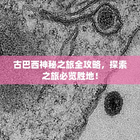古巴西神秘之旅全攻略，探索之旅必览胜地！