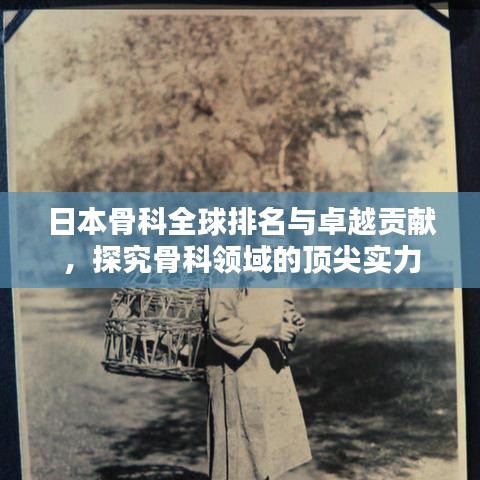 日本骨科全球排名与卓越贡献，探究骨科领域的顶尖实力