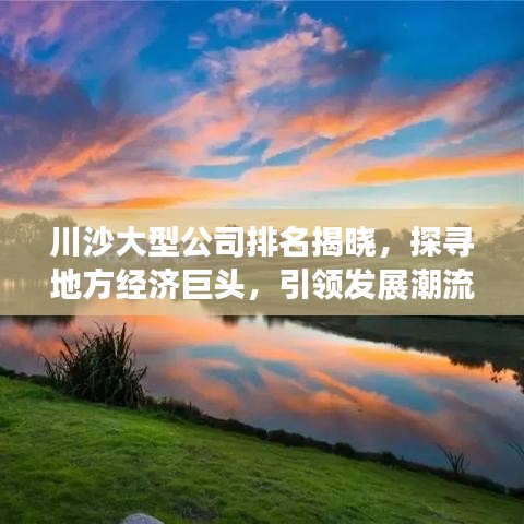 川沙大型公司排名揭晓，探寻地方经济巨头，引领发展潮流