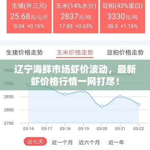 辽宁海鲜市场虾价波动，最新虾价格行情一网打尽！
