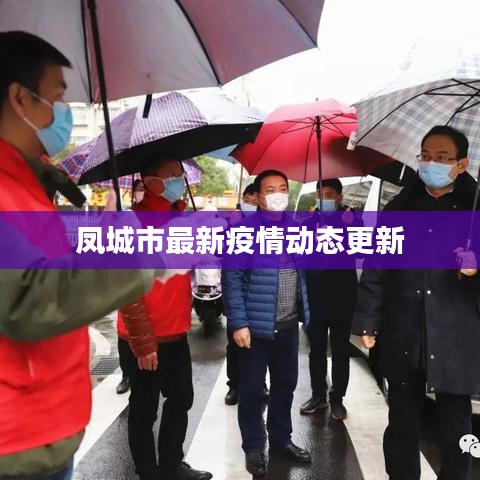 凤城市最新疫情动态更新