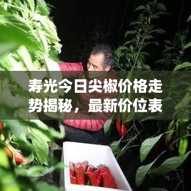 寿光今日尖椒价格走势揭秘，最新价位表、市场动态及影响因素分析