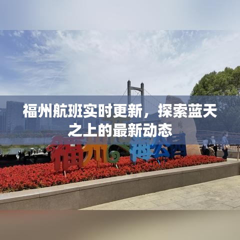 福州航班实时更新，探索蓝天之上的最新动态