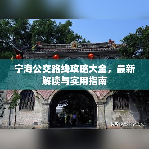宁海公交路线攻略大全，最新解读与实用指南