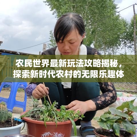 农民世界最新玩法攻略揭秘，探索新时代农村的无限乐趣体验