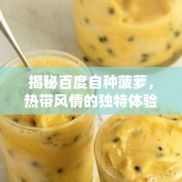 揭秘百度自种菠萝，热带风情的独特体验