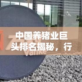 中国养猪业巨头排名揭秘，行业影响力深度解析