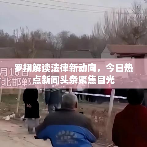 罗翔解读法律新动向，今日热点新闻头条聚焦目光