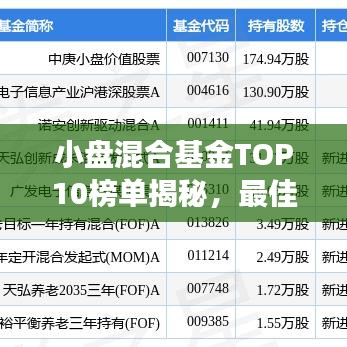 小盘混合基金TOP10榜单揭秘，最佳投资选择深度解读