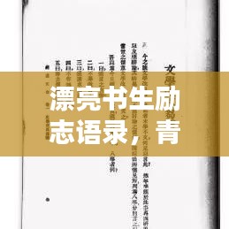 漂亮书生励志语录，青春书写非凡人生篇章