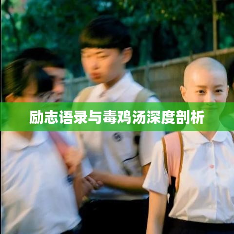 励志语录与毒鸡汤深度剖析