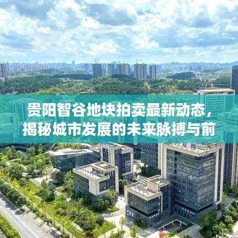 贵阳智谷地块拍卖最新动态，揭秘城市发展的未来脉搏与前景展望
