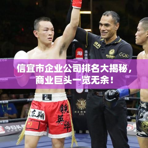 信宜市企业公司排名大揭秘，商业巨头一览无余！