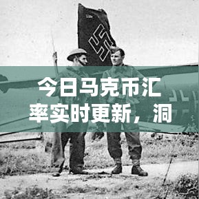 今日马克币汇率实时更新，洞悉货币走势，把握最佳投资机遇