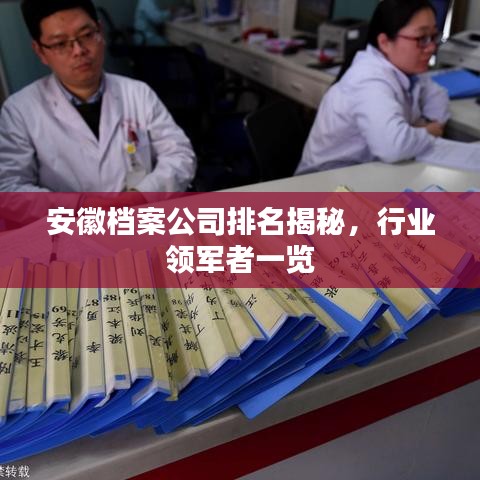 安徽档案公司排名揭秘，行业领军者一览