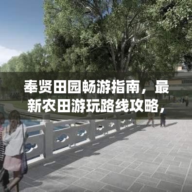 奉贤田园畅游指南，最新农田游玩路线攻略，尽享田园风光魅力！