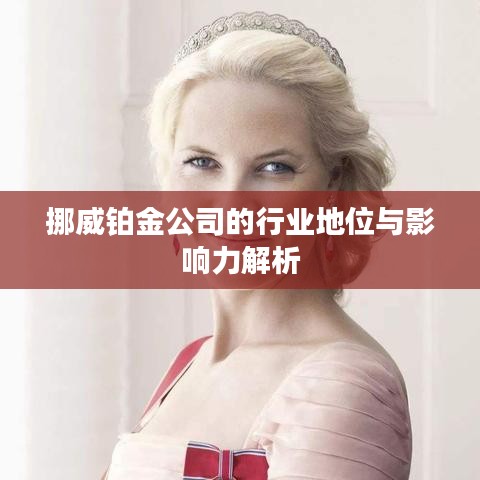 挪威铂金公司的行业地位与影响力解析