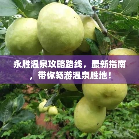 永胜温泉攻略路线，最新指南，带你畅游温泉胜地！