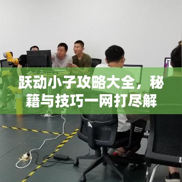 跃动小子攻略大全，秘籍与技巧一网打尽解析