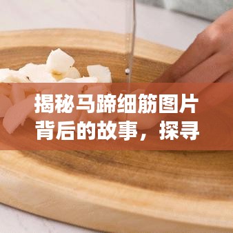 揭秘马蹄细筋图片背后的故事，探寻百度图片背后的秘密之旅