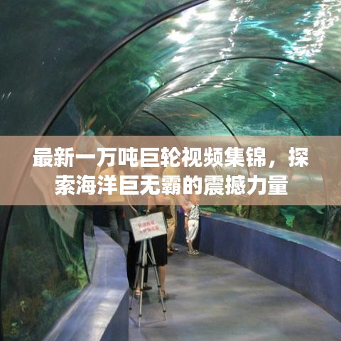 最新一万吨巨轮视频集锦，探索海洋巨无霸的震撼力量