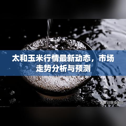 太和玉米行情最新动态，市场走势分析与预测
