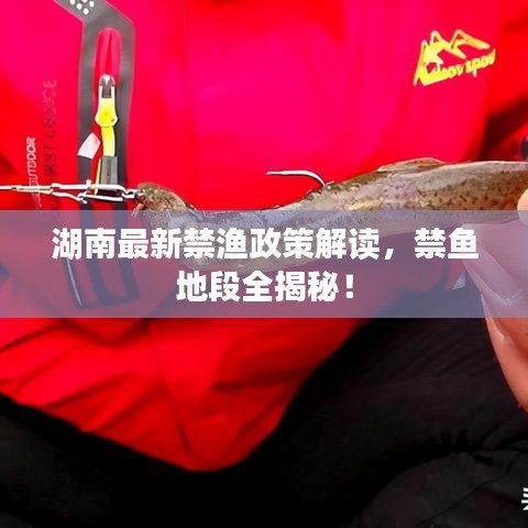 湖南最新禁渔政策解读，禁鱼地段全揭秘！