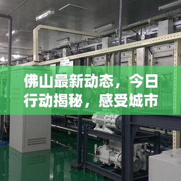佛山最新动态，今日行动揭秘，感受城市脉搏的跃动