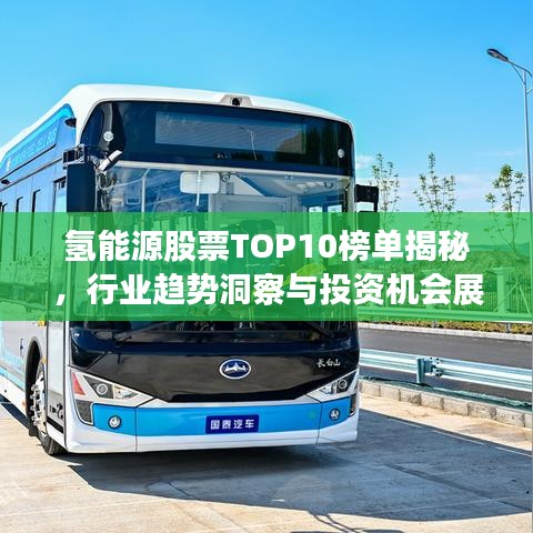 氢能源股票TOP10榜单揭秘，行业趋势洞察与投资机会展望