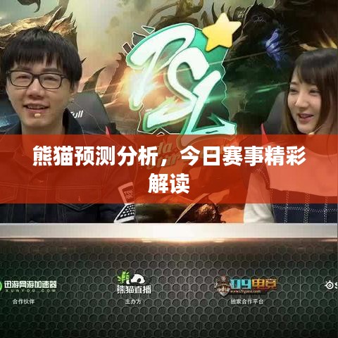 熊猫预测分析，今日赛事精彩解读