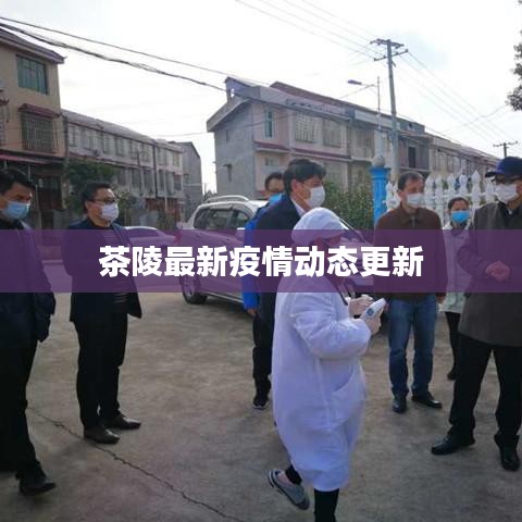 茶陵最新疫情动态更新