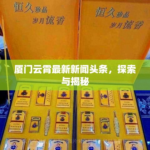厦门云霄最新新闻头条，探索与揭秘